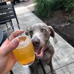 Meet your Posher, Steve